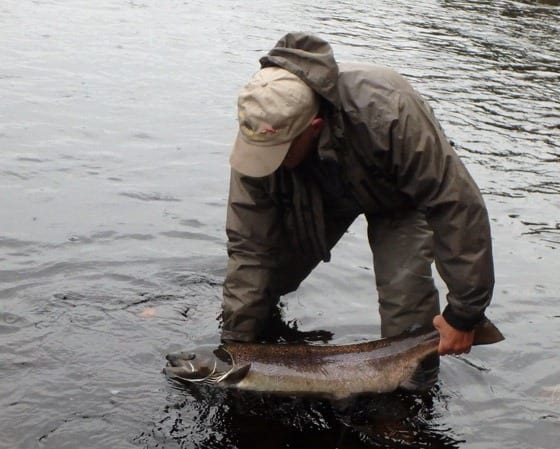 Author Peter Clark with a nice Fall salmon