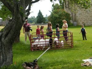 The animals of the farm were in high spirits.