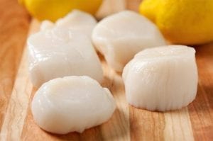 Atlantic Sea Scallops