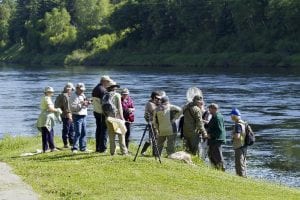 Naturalists, Northwest Miramichi – a group of naturalists from across NB, including members of the Miramichi Naturalist Club were observing dragonflies at the Blackville Municipal Park with Parks Canada entomologist Denis Doucet, June 2013, during the Festival of Nature hosted by our club. Of particular interest was a rare species of Pigmy Snake-tail dragonfly.