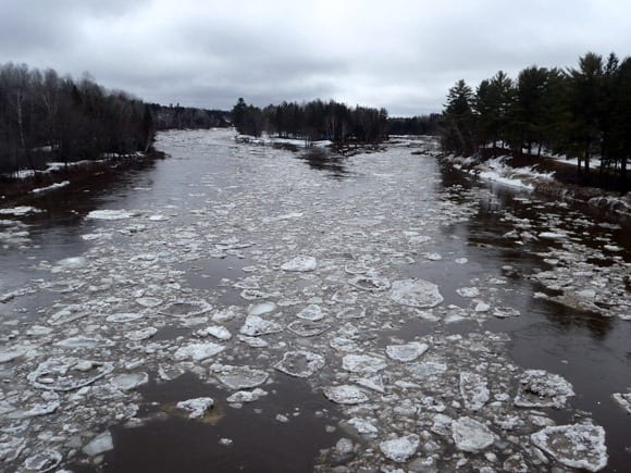 Up river from the Blackville Bridge at Dr's Island