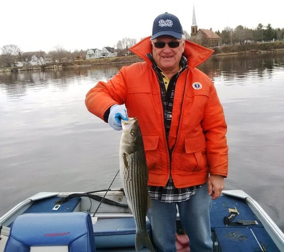 Bill Seymour with a nice striped bass caught last week