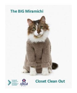 Big-Miramichi-Closet-CLean-out-FB-image