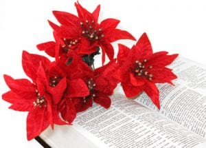 christmas-bible-poinsettia-church