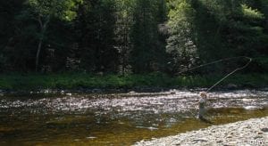 Elaine Gray on the Nor West, Friday, July 14th. Raised a Salmon on a Silver Blue Charm.