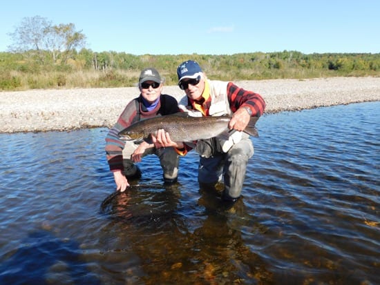 Ledges guide Lloyd Lyons with salmon caught by Bob Lauer