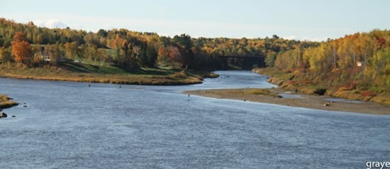 Anglers at Quarryville Wednesday morning. Photo by Elaine Gray.